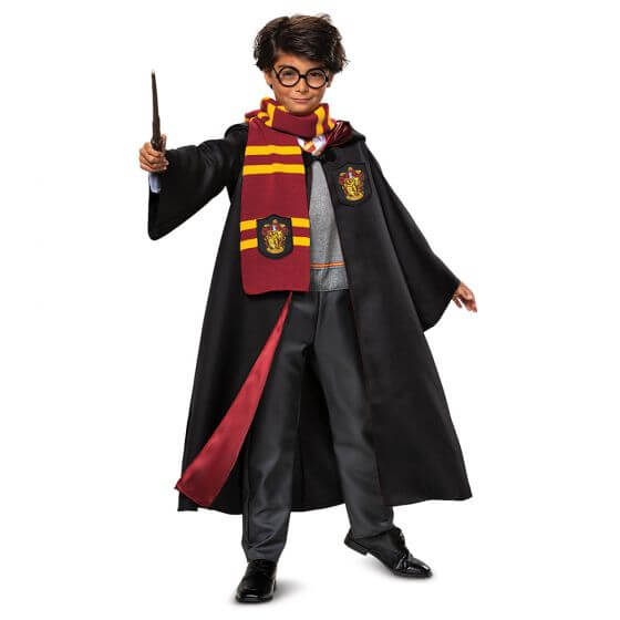 Harry Potter Deluxe Costume