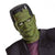 Frankenstein Deluxe Adult Costume mask