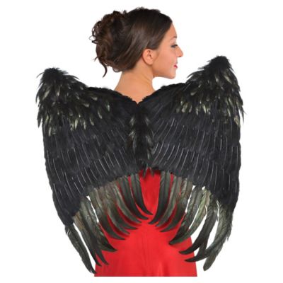 Black Feather Wings