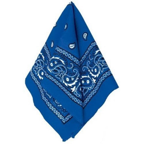 Blue Bandana