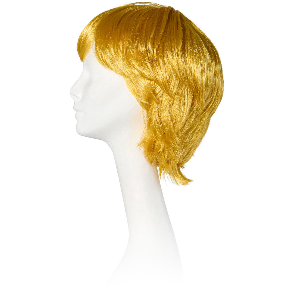 He-Man Adult Wig