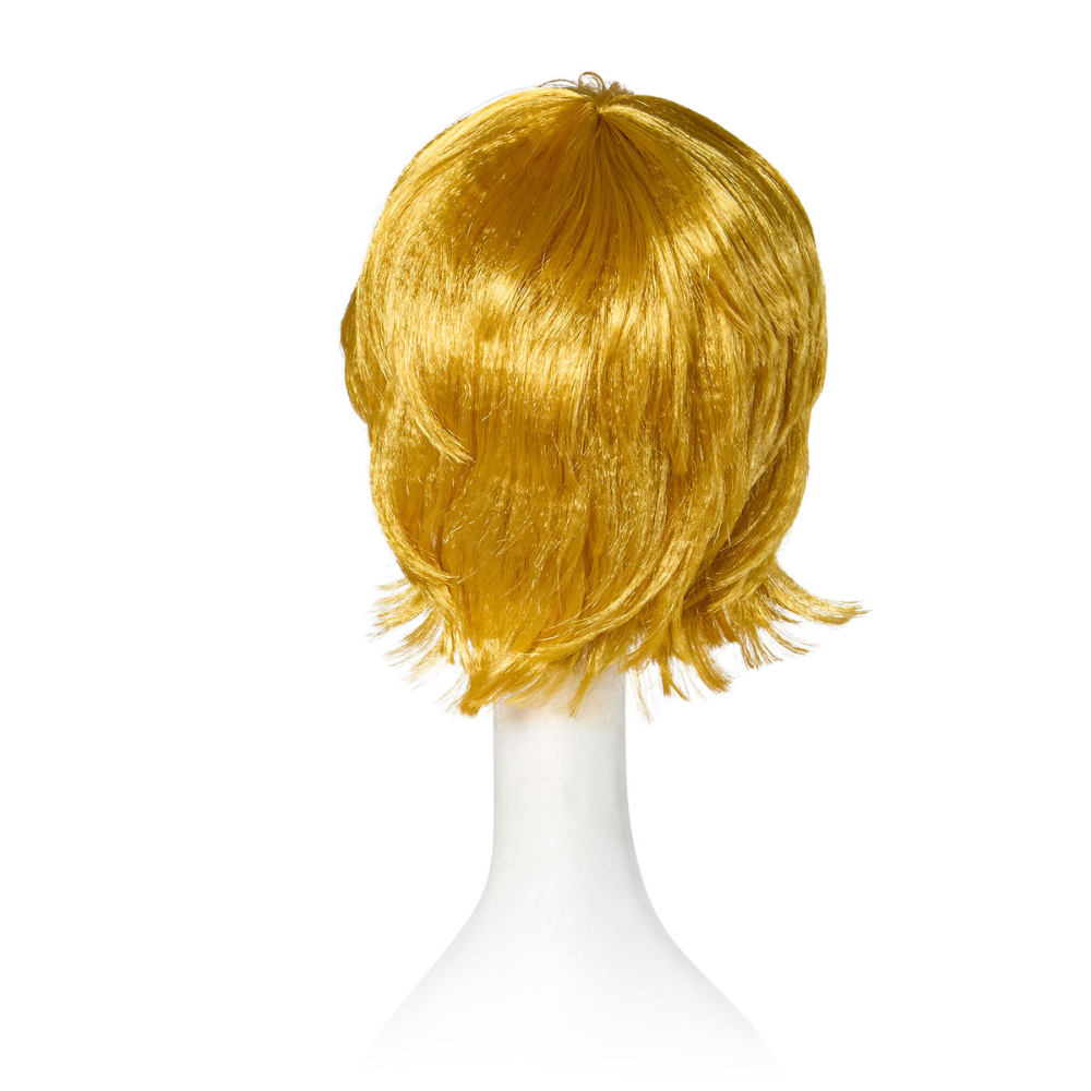 He-Man Adult Wig