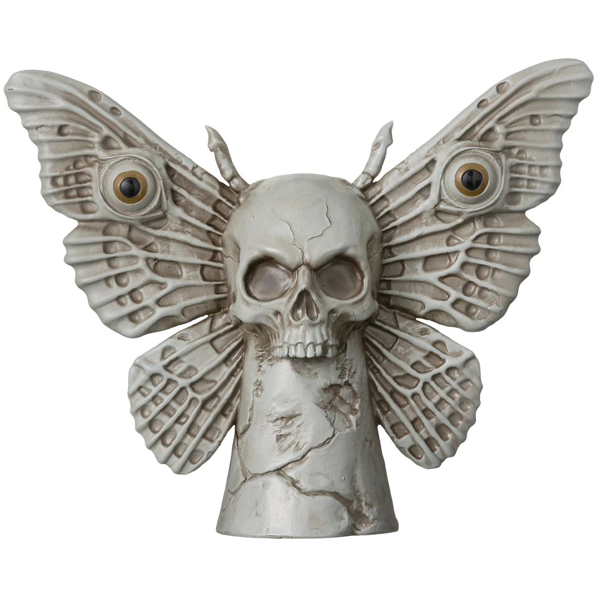 Dark Academia Moth Skull Statue