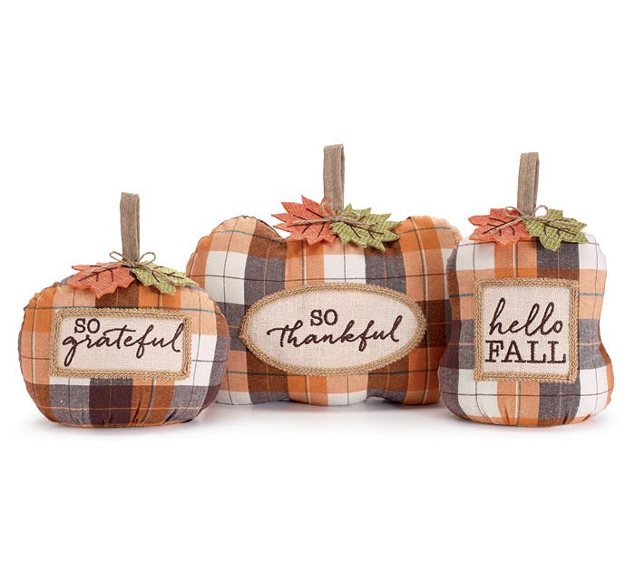 PLAID PUMPKINS WITH MESSAGES