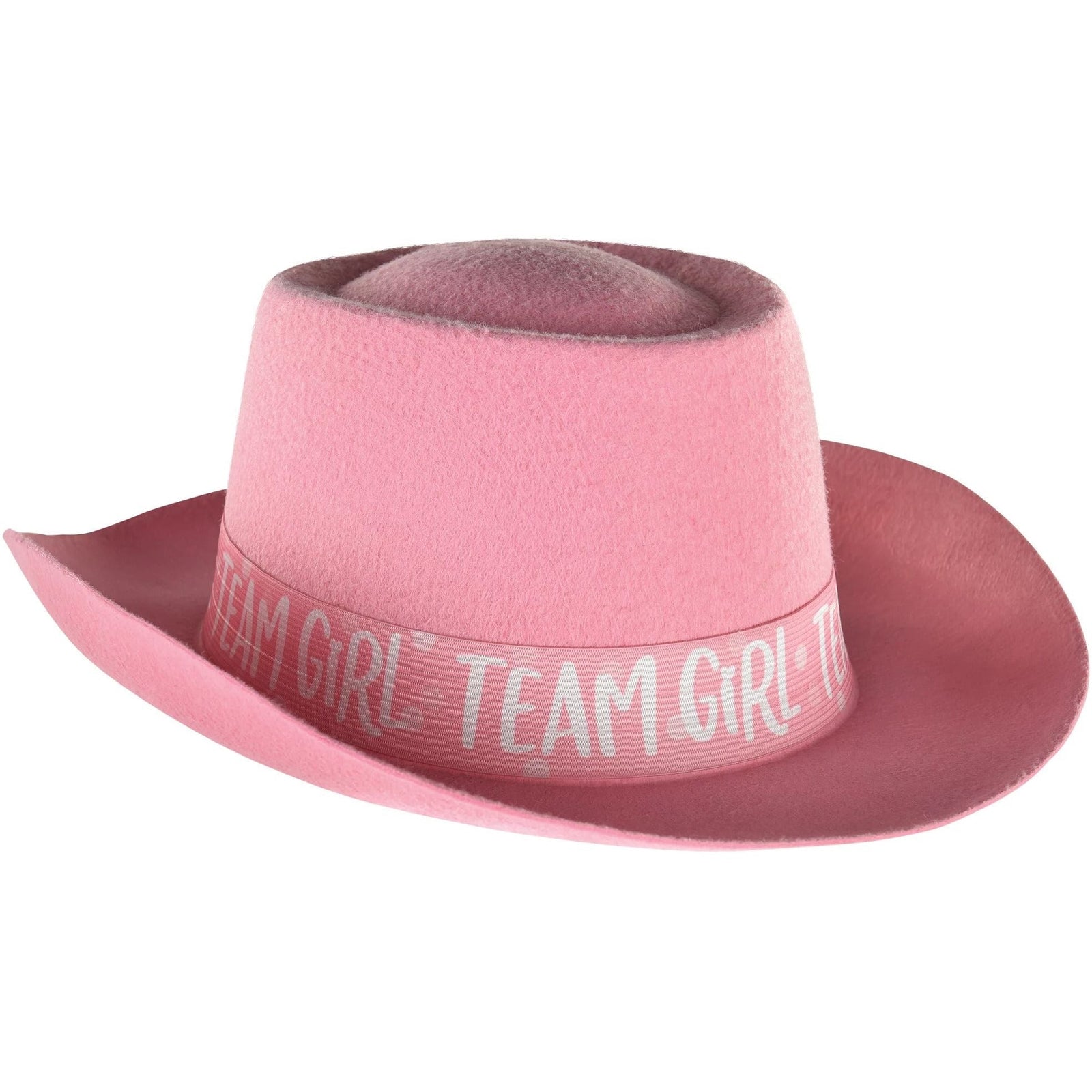 Amscan BABY SHOWER Gender Reveal Felt Hat - Girl