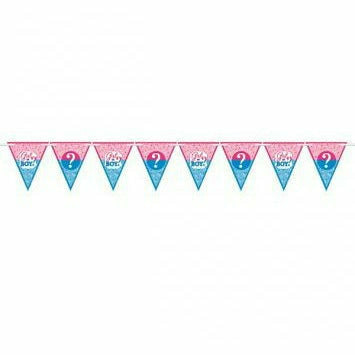 Amscan BABY SHOWER Girl or Boy Gender Reveal Pennant Banner