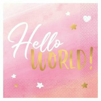 Amscan BABY SHOWER Hello World Girl Lunch Napkins