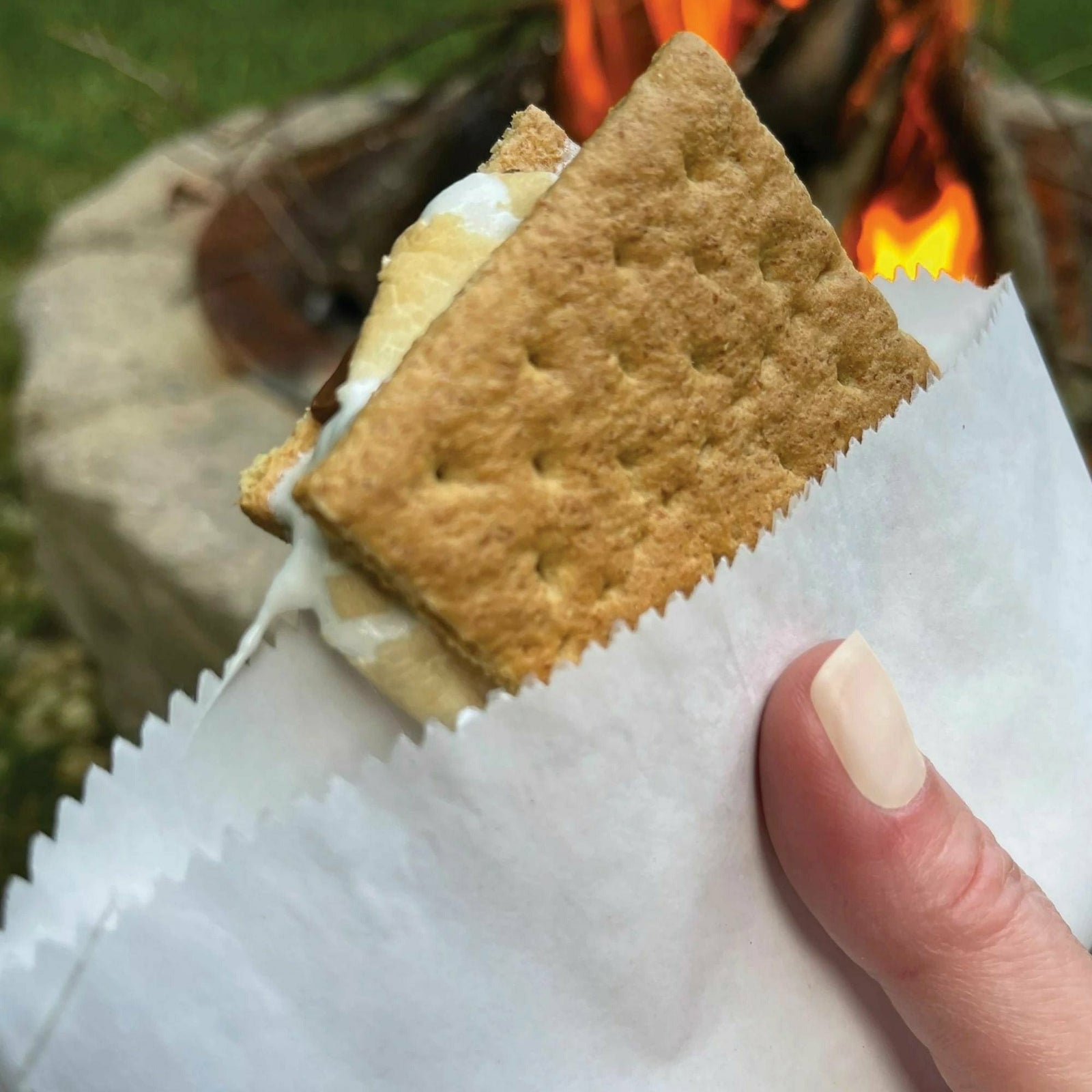 Amscan BASIC Smores Paper Holders