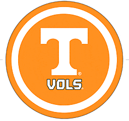 Amscan THEME: SPORTS University of Tennessee Plates - 7&quot;