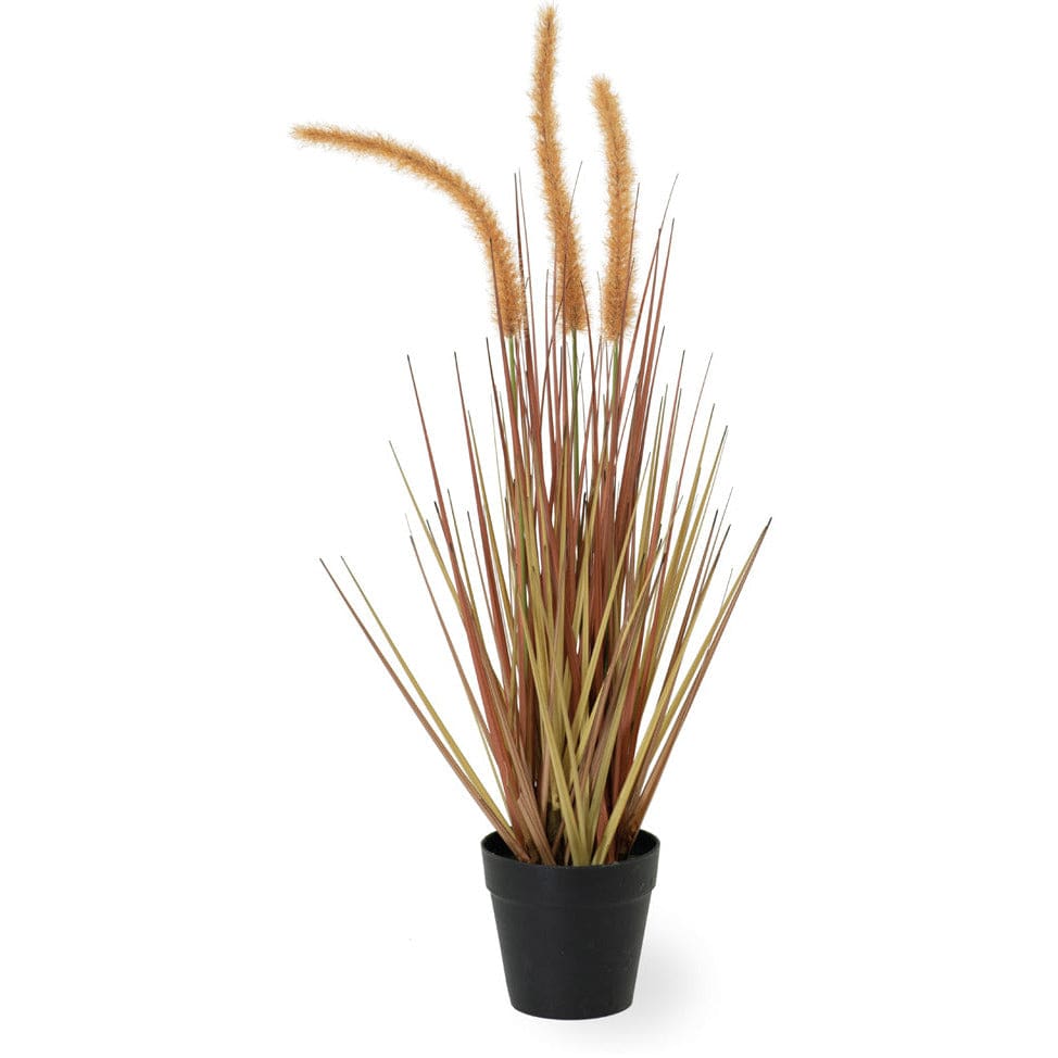 Boston International, Inc. BOUTIQUE DOGTAIL AMBER SMALL GRASS