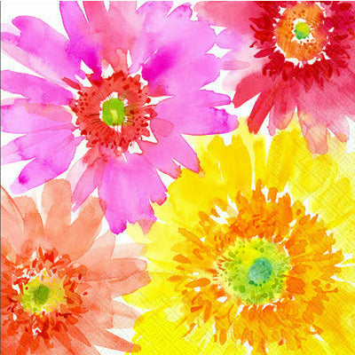 Boston International, Inc. BOUTIQUE LUNCH NAPKINS - GERBERAS