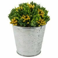 Boston International, Inc. BOUTIQUE YELLOW BUD SUCCULENT METAL