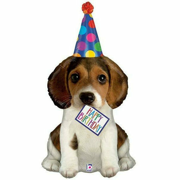 Burton and Burton Balloons 247 41&quot;PKG HBD PUPPY