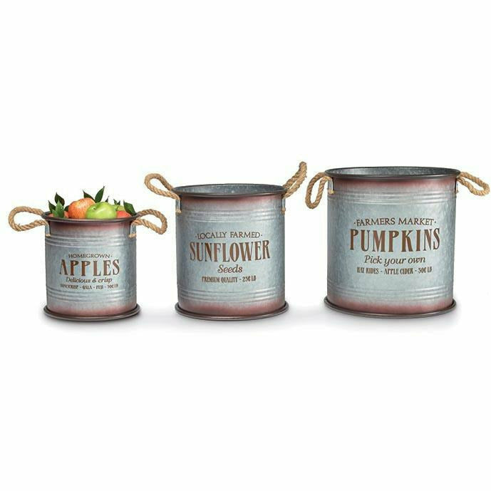 Burton and Burton HOLIDAY: FALL 10&quot;H x 10&quot; - Apples Fall Themed Planters - Individually Sold