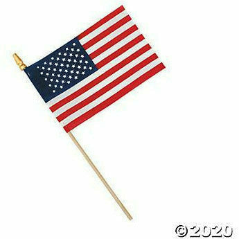 FUN EXPRESS HOLIDAY: PATRIOTIC 1 Dozen American Flags