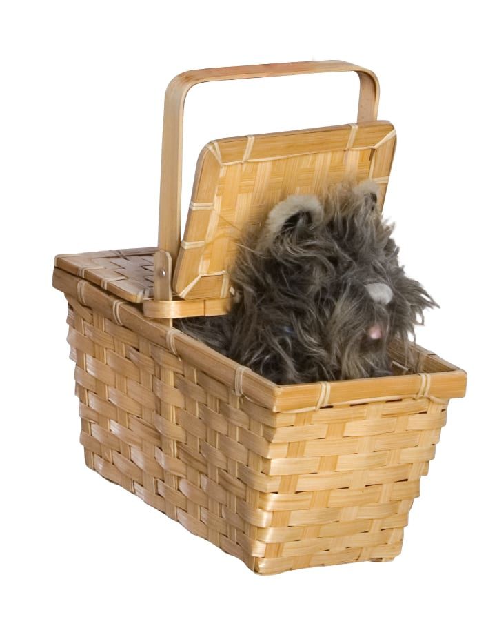 Rubie&#39;s COSTUMES: ACCESSORIES Deluxe Toto in a Basket