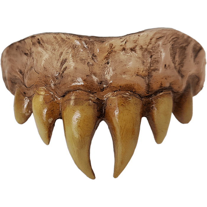 Trick or Treat Studios Bitemares Horror Teeth - Vampire Master