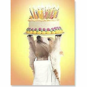 Ultimate Party Super Stores DOG HOLDING CAKE-CARD