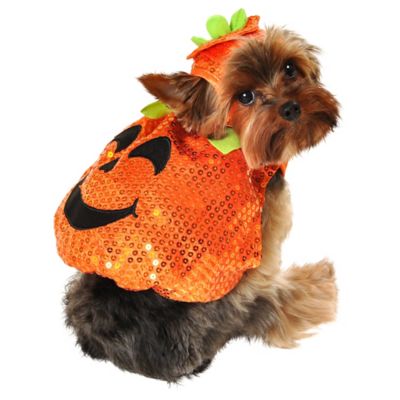 Ultimate Party Super Stores XS/S Sequin Pumpkin Dog Costume