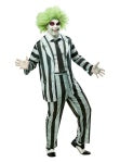 Beetlejuice Adult Costume