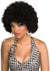 Afro Wig Black