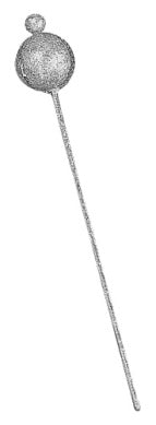 Royal Scepter Silver