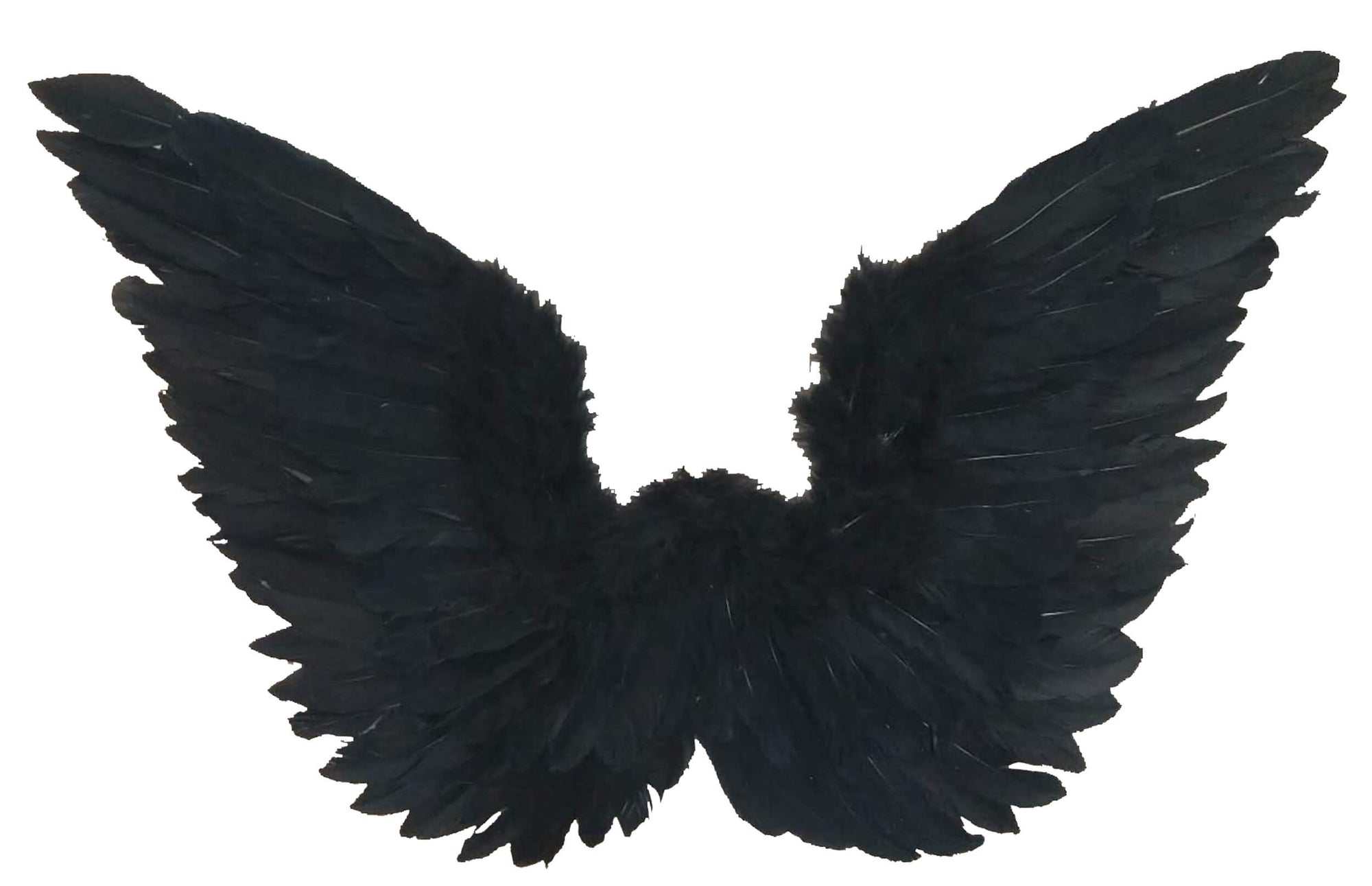 Raven Wings Black